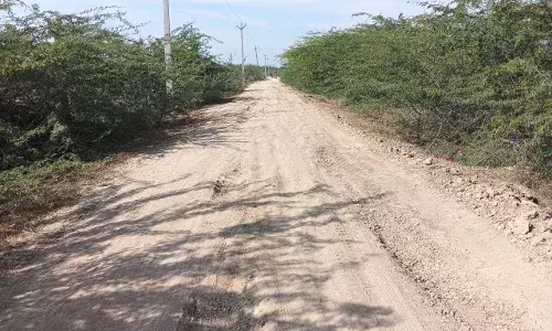 कच्ची सड़क डीएमएफटी योजना में डामरीकरण करने की मांग