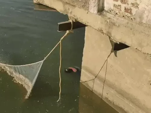 मेजा बांध में अधेड़ का शव मिलने से सनसनी, पुलिस ने शव बाहर निकाल कर पोस्टमार्टम के लिए भेजा