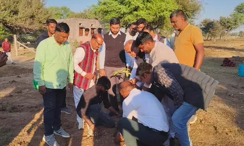 संभागीय आयुक्त व जिला कलेक्टर ने किया पौधारोपण संभागीय आयुक्त व जिला कलेक्टर ने किया पौधारोपण