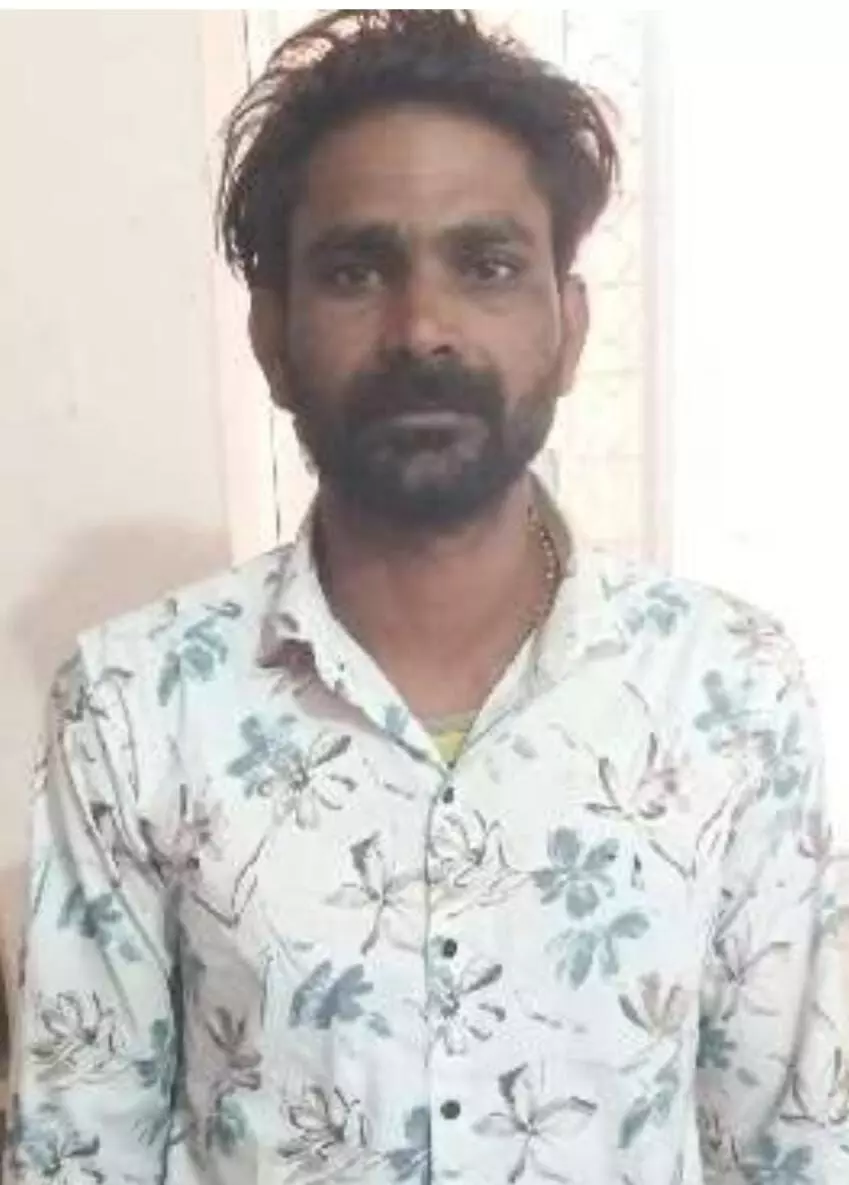 पिला मंगरा जंगल कटाई मामला: 10 हजार का इनामी मास्टरमाइंड गिरफ्तार पिला मंगरा जंगल कटाई मामला: 10 हजार का इनामी मास्टरमाइंड गिरफ्तार