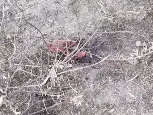 मंदिर के पीछे खेत के पास मिला चार माह का भ्रूण, जांच में जुटी पुलिस