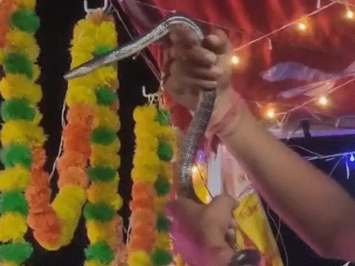 सांप के साथ रील बनाना पड़ा भारी, नाबालिग की मौत