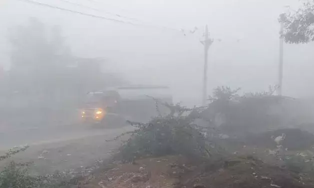 कोहरे की चादर में लिपटा शाहपुरा, ठंड ने थाम दी रफ्तार