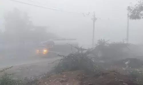 कोहरे की चादर में लिपटा शाहपुरा, ठंड ने थाम दी रफ्तार कोहरे की चादर में लिपटा शाहपुरा, ठंड ने थाम दी रफ्तार