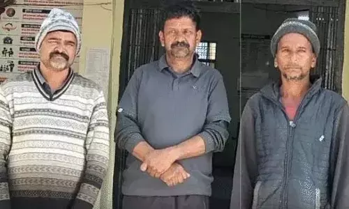 उदयपुर में मोर का शिकार कर नॉनवेज पार्टी, तीन गिरफ्तार