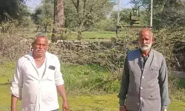 कटार गांव में खेतों में लगे ट्रांसफॉर्मरों से सैकड़ों लीटर तेल चोरी