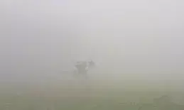 राजस्थान में शीतलहर का असर तेज, घने कोहरे से जनजीवन प्रभावित राजस्थान में शीतलहर का असर तेज, घने कोहरे से जनजीवन प्रभावित