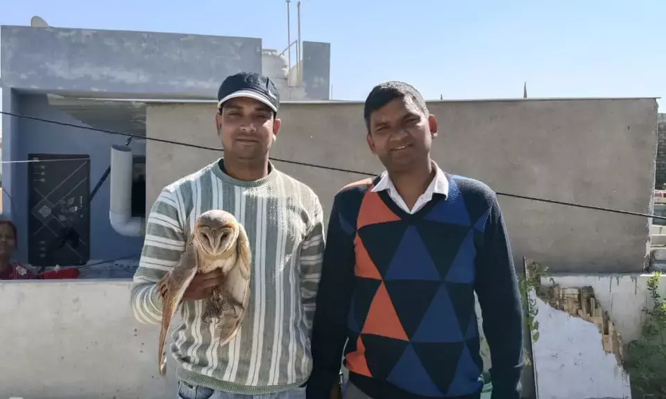 घटते वन क्षेत्र और पेड़ों की कमी से वन्य जीव आबादी की ओर बढ़े