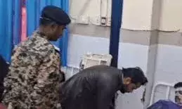 बीएसएफ भर्ती में मधुमक्खियों ने किया हमला, 60 अभ्यर्थी घायल