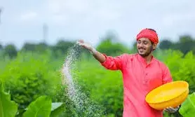 उर्वरक विक्रेताओं के लाइसेंस निलंबित