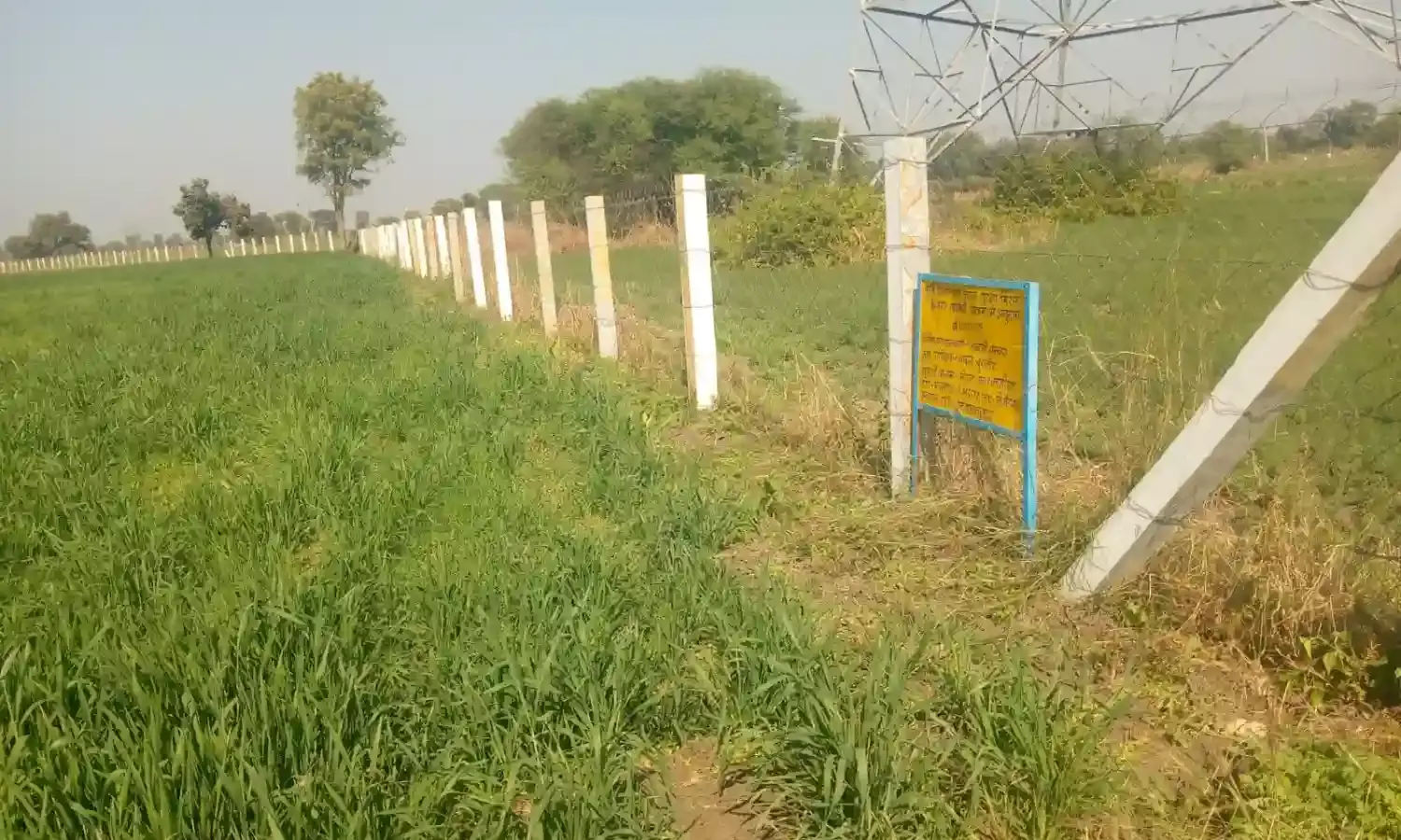 तारबंदी योजना से फसल को मिला सुरक्षा कवच