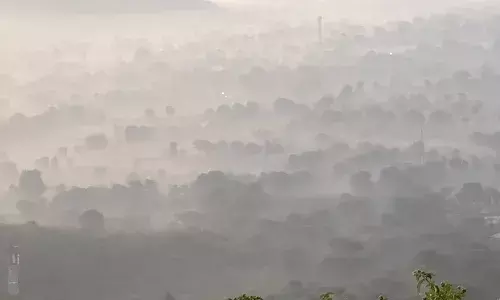 गुरला में बर्फीली हवाओं और कोहरे ने बढ़ाई ठंड