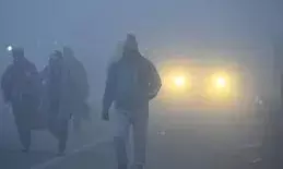 राजस्थान में न्यू ईयर सेलिब्रेशन पर मौसम की मार, बारिश और घने कोहरे की चेतावनी