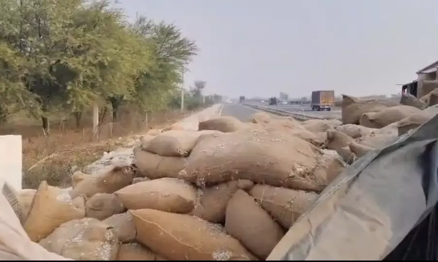 नीलगाय को बचाने में हाईवे पर पलटा कपासिया खली से भरा ट्रक, बड़ा हादसा टला