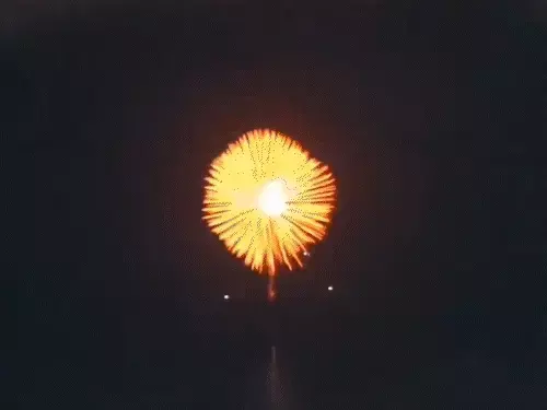 भीलवाड़ा में कड़ाके की ठंड पर भारी पड़ा न्यू ईयर का जश्न, आतिशबाजी से जगमगा उठी वस्त्र नगरी