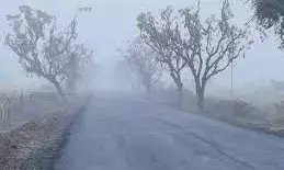 राजस्थान में मावठ का असर: बूंदाबांदी, घना कोहरा और शीतलहर के साथ नए साल की शुरुआत