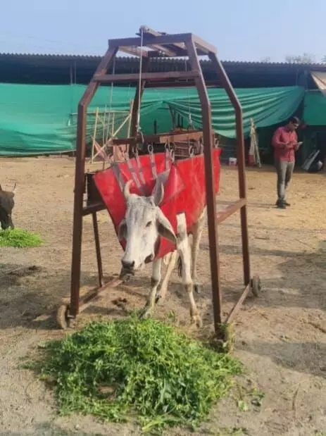 माताजी के जन्मदिन पर गौशाला को भेंट की काऊ लिफ्टर मशीन