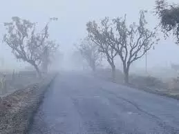 राजस्थान में मावठ का असर: बूंदाबांदी, घना कोहरा और शीतलहर के साथ नए साल की शुरुआत