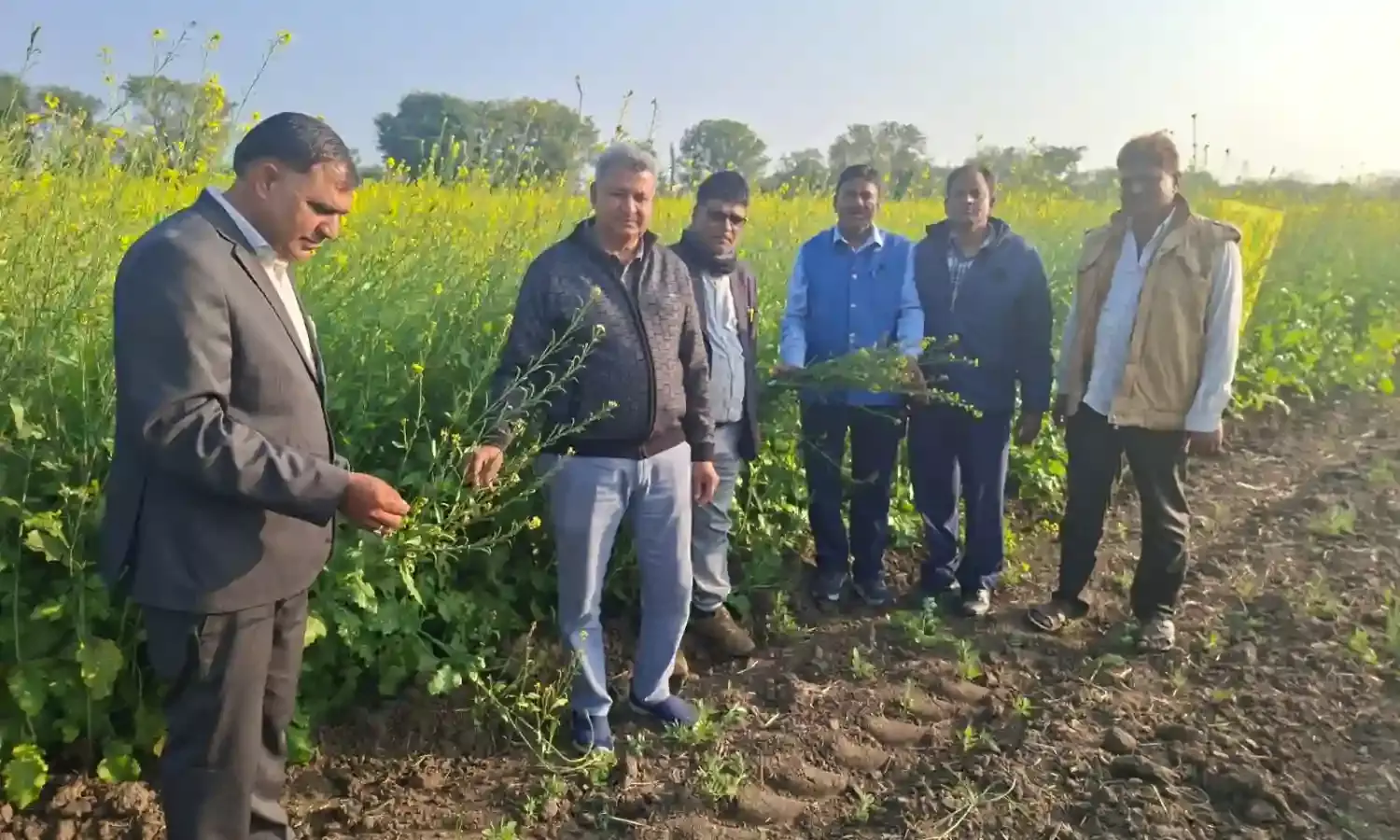 कृषि अधिकारियों एवं वैज्ञानिकों द्वारा रबी फसलों का निरीक्षण