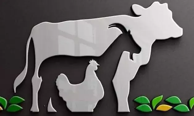 उदयपुर और सलुम्बर में 11 नए पशु चिकित्सालय बनेंगे, नाबार्ड से 137.18 करोड़ का ऋण स्वीकृत