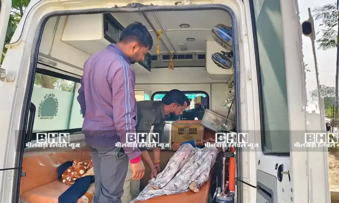 जंगली सुअरों के झुंड से टकराई बाइक, महिला घायल