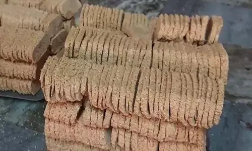 भीलवाड़ा में ठंड में गजक-रेवड़ी की मांग बढ़ी, मुरैना कारीगरों का खास स्वाद पसंद