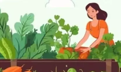 जैविक खेती के संवर्धन हेतु एक दिवसीय प्रशिक्षण एवं भ्रमण कार्यक्रम 18 जनवरी को जैविक खेती के संवर्धन हेतु एक दिवसीय प्रशिक्षण एवं भ्रमण कार्यक्रम 18 जनवरी को