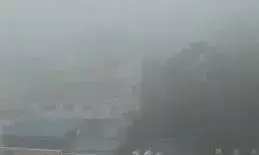 राजस्थान में सर्दी का कहर, 5 जिलों में शीतलहर तो 9 में घने कोहरे की चेतावनी