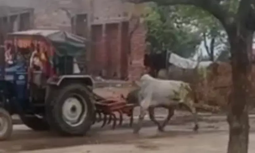 ​शाहपुरा : सांड को ट्रैक्टर से घसीटने पर बवाल, युवक को बंधक बना दी तालिबानी सजा; 7 पर केस दर्ज