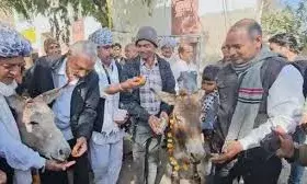 खाद संकट पर किसानों का अनोखा विरोध, गधों को माला पहनाकर जताया आक्रोश