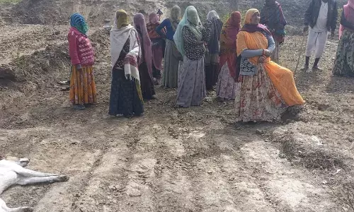 जेसीबी से हो रहे नरेगा कार्य पकड़े गए, औचक निरीक्षण में खुली पोल जेसीबी से हो रहे नरेगा कार्य पकड़े गए, औचक निरीक्षण में खुली पोल