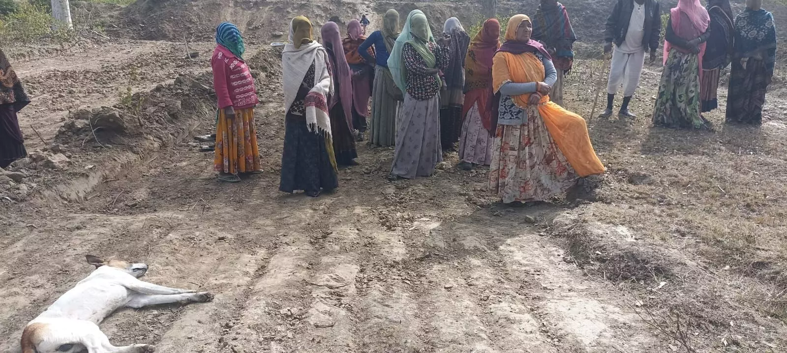 जेसीबी से हो रहे नरेगा कार्य पकड़े गए, औचक निरीक्षण में खुली पोल जेसीबी से हो रहे नरेगा कार्य पकड़े गए, औचक निरीक्षण में खुली पोल