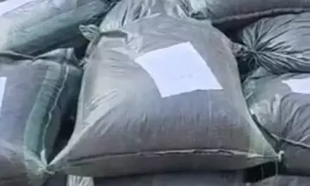 उदयपुर में कार से 80 लाख रुपए मूल्य का अवैध डोडा चूरा बरामद