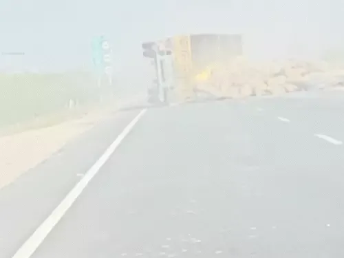 पाली में एनएच 62 पर चलते ट्रक पलटा, जौ की बोरियां हाईवे पर बिखरी, ड्राइवर घायल पाली में एनएच 62 पर चलते ट्रक पलटा, जौ की बोरियां हाईवे पर बिखरी, ड्राइवर घायल