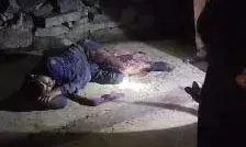 धौलपुर में बजरी माफियाओं का दुस्साहस, वन रक्षक गंभीर रूप से घायल