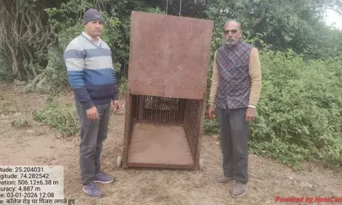 गंगापुर क्षेत्र में पैंथर की दहशत: लोग रात में बाहर नहीं निकल रहे,वन विभाग अलर्ट