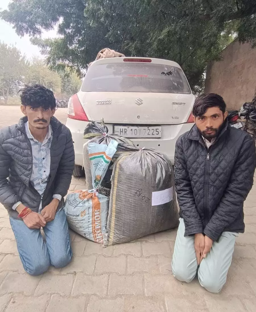 श्रीगंगानगर में 48 किलो से अधिक डोडा पोस्त और अफीम जब्त, तीन गिरफ्तार श्रीगंगानगर में 48 किलो से अधिक डोडा पोस्त और अफीम जब्त, तीन गिरफ्तार