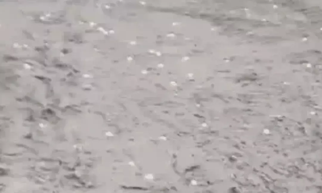 गोगुंदा में पारा जमाव बिंदु पर, अलवर-खैरथल में मावठ और ओलावृष्टि; 25 जिलों में स्कूल बंद