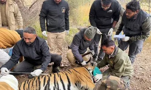 मुकुंदरा-रामगढ़ विषधारी बनेगा बाघ संरक्षण का केंद्र: बिरला