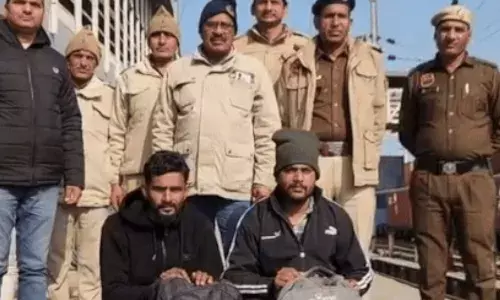 चित्तौड़गढ़ से हरियाणा ले जाया जा रहा 90 हजार का डोडा पोस्त जब्त, दो गिरफ्तार