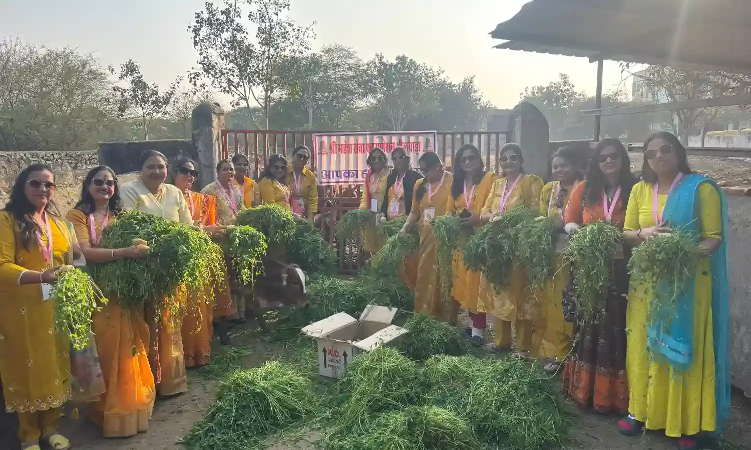 युवा दिवस पर महेश फाउंडेशन द्वारा गायों को चारा व गुड़ खिलाया