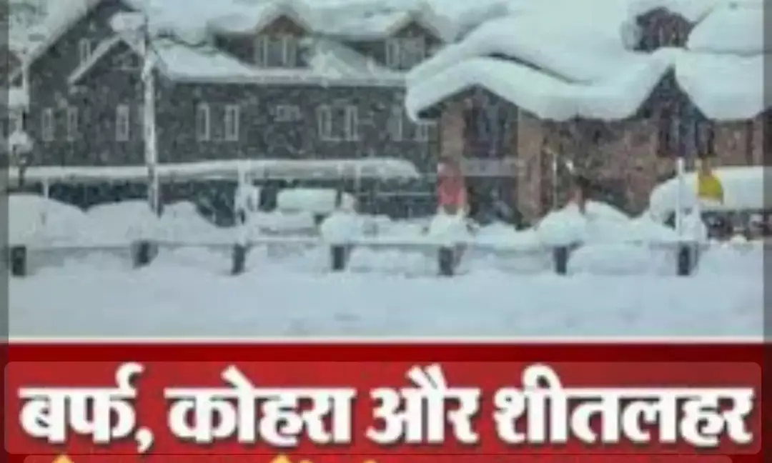 शीतलहर की चपेट में राजस्थान, दिल्ली-यूपी; घने कोहरे के साये में मनेगी मकर संक्रांति