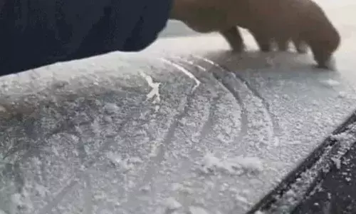 राजस्थान में कड़ाके की सर्दी का कहर जारी, कई इलाकों में तापमान माइनस में, स्कूलों की छुट्टियां बढ़ीं