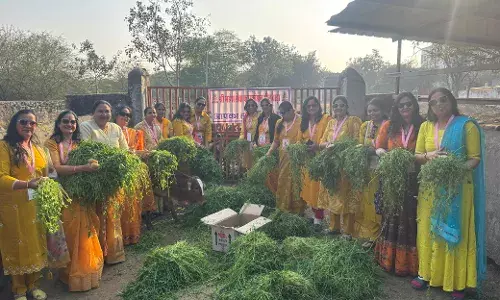 युवा दिवस पर महेश फाउंडेशन द्वारा गायों को चारा व गुड़ खिलाया