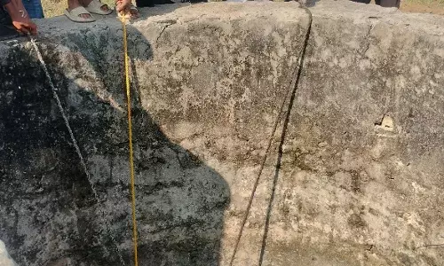 नीलगाय कुएं में गिरी, सूचना पर कोई भी नहीं पहुंचा, ग्राम वासियों में आक्रोश