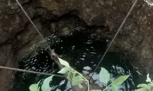 कुएं में गिरी नीलगाय को ग्रामीणों ने बचाया, प्रशासन की लापरवाही से आक्रोश