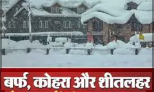 शीतलहर की चपेट में राजस्थान, दिल्ली-यूपी; घने कोहरे के साये में मनेगी मकर संक्रांति