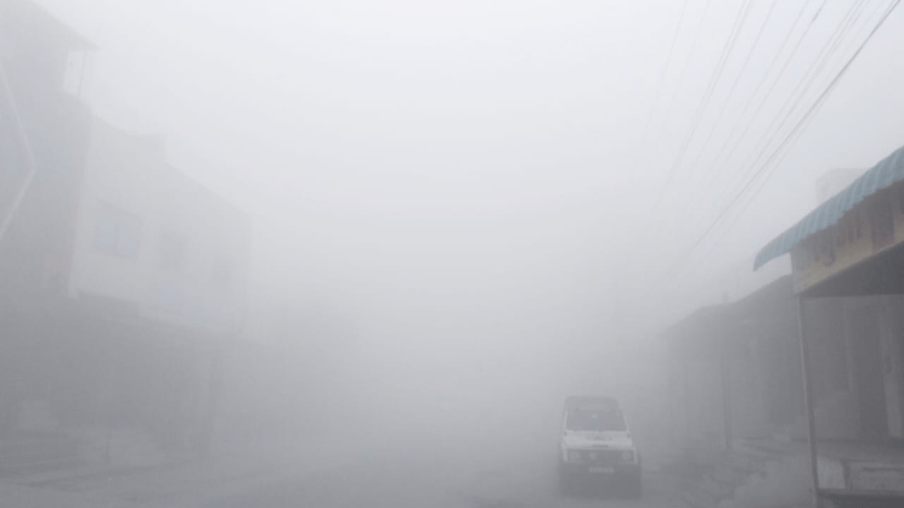 कहीं कोहरा तो कहीं साफ आसमान, बर्फीली हवाओं ने बढ़ाई धूजणी कहीं कोहरा तो कहीं साफ आसमान, बर्फीली हवाओं ने बढ़ाई धूजणी