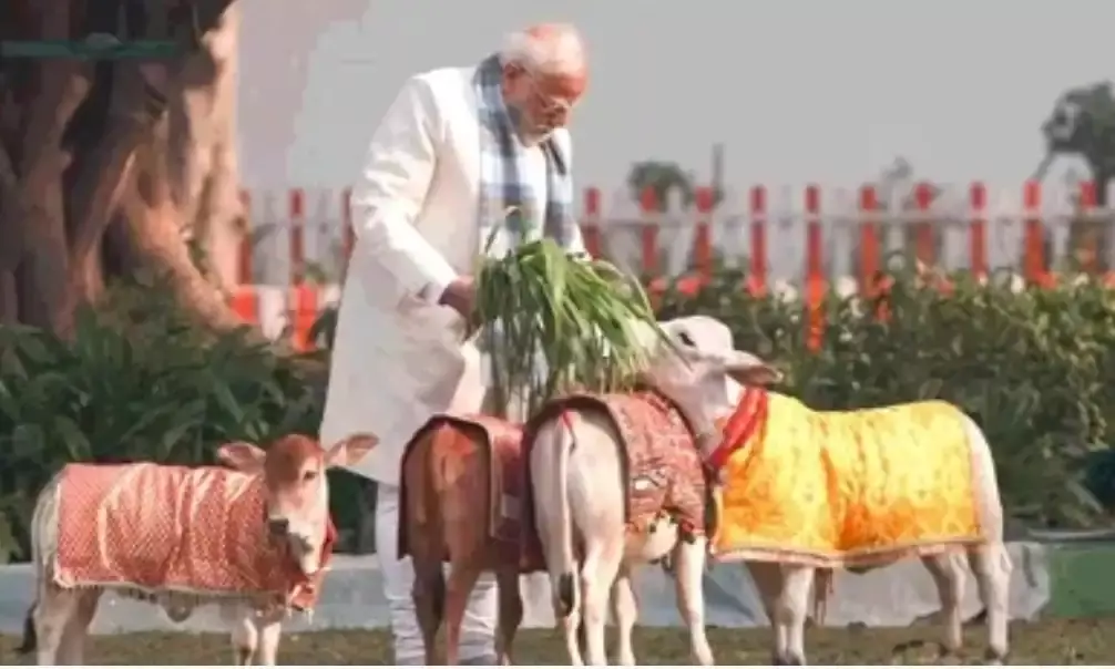 मकर संक्रांति पर पीएम मोदी ने की गौ सेवा: लोक परंपराओं और सांस्कृतिक मूल्यों का दिया संदेश