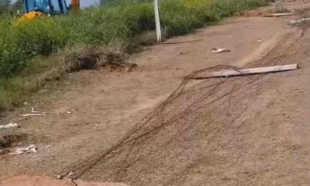 ग्राम बावड़ी में 100 बीघा चारागाह भूमि अतिक्रमण मुक्त